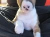 sookie_0