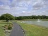 take-walk-pond