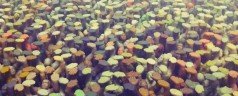 Floor by Do Ho Suh