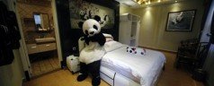 L&rsquo;hotel Panda