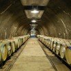 Visite du vignoble de Rupert Murdoch