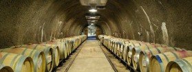 Visite du vignoble de Rupert Murdoch