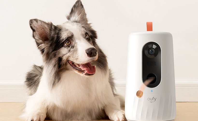 Eufy D605 - Une caméra pour surveiller votre chien !