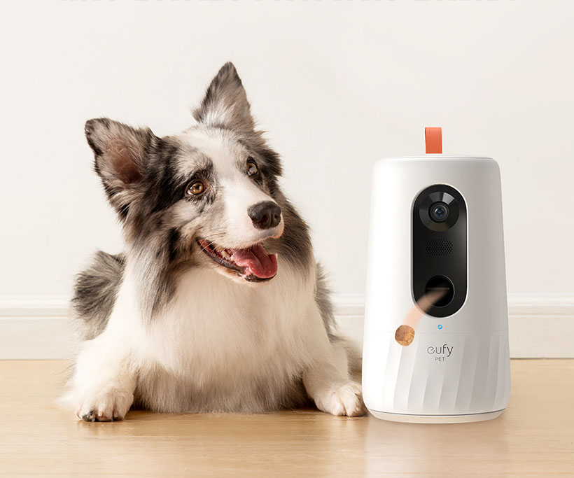 Eufy D605 - Une caméra pour surveiller votre chien !