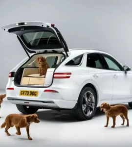 Genesis x Dog Concept offre une balade luxueuse pour les chiens