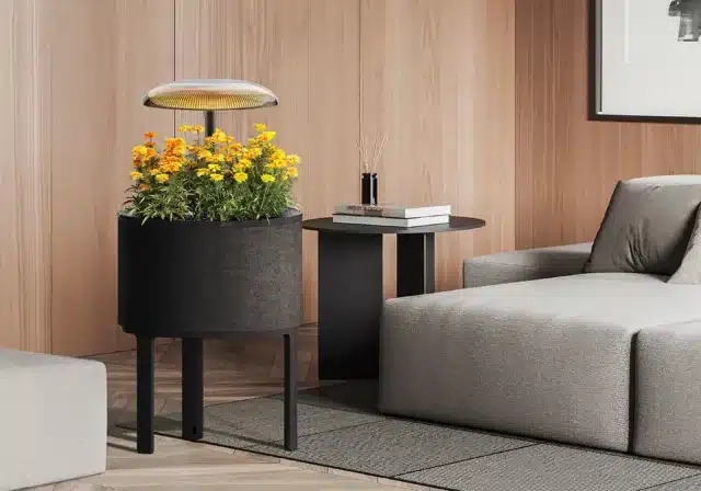 LG smart planter