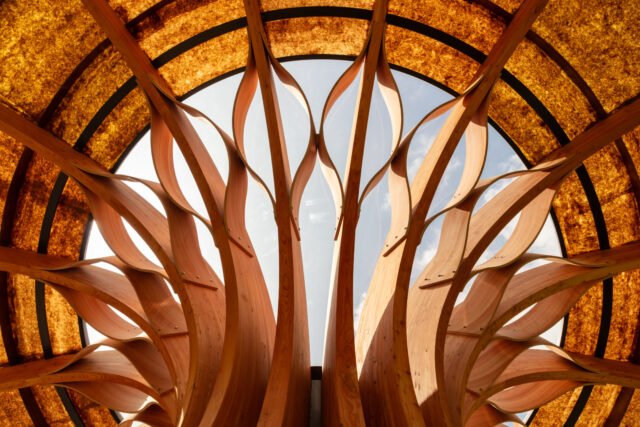 The Carbon Garden & Pavilion Mizzi Studio 1 The Carbon Garden & Pavilion Mizzi Studio 1